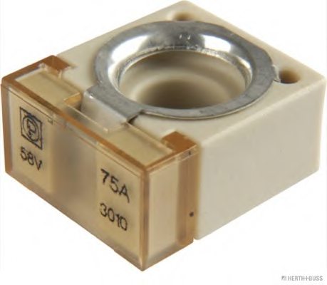 HERTH+BUSS ELPARTS 50295881 Fuse